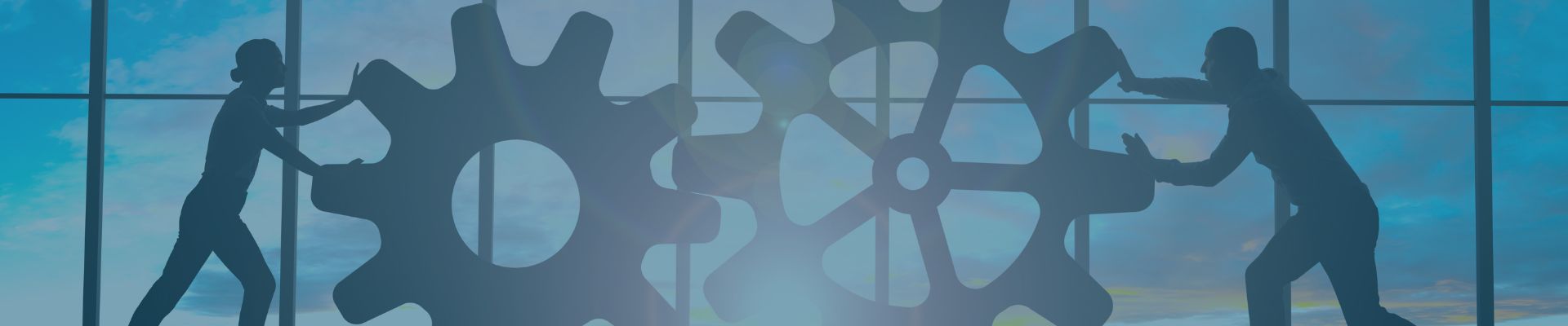 BEE Registration Services